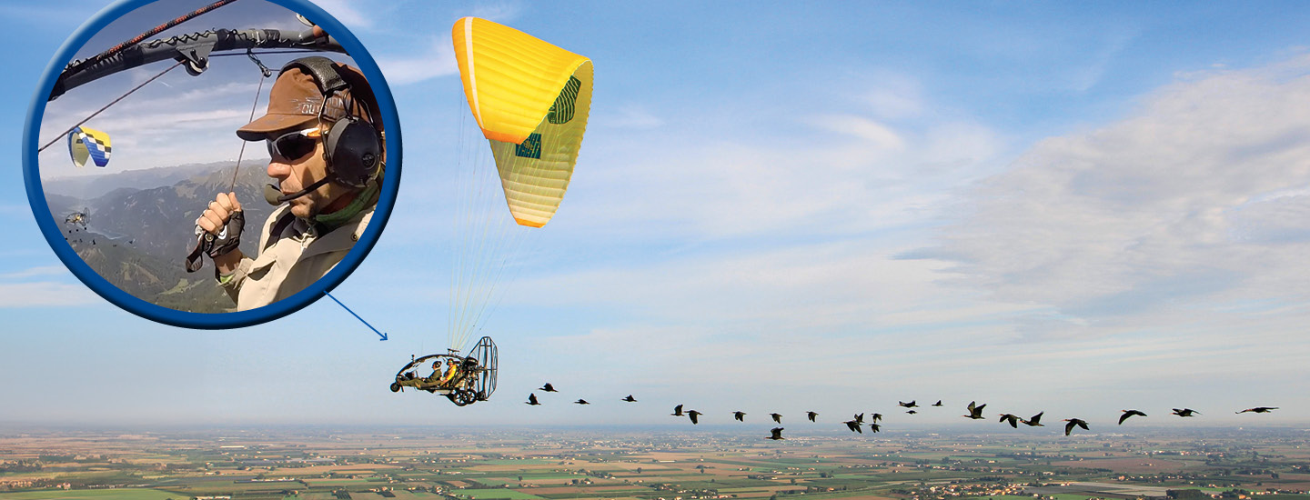 Photo of a person making small flying machine and birds following him