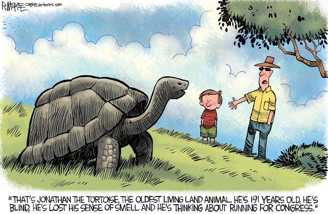 Comic of a person talking about an old senile turtle and joking it wants to run for Congress